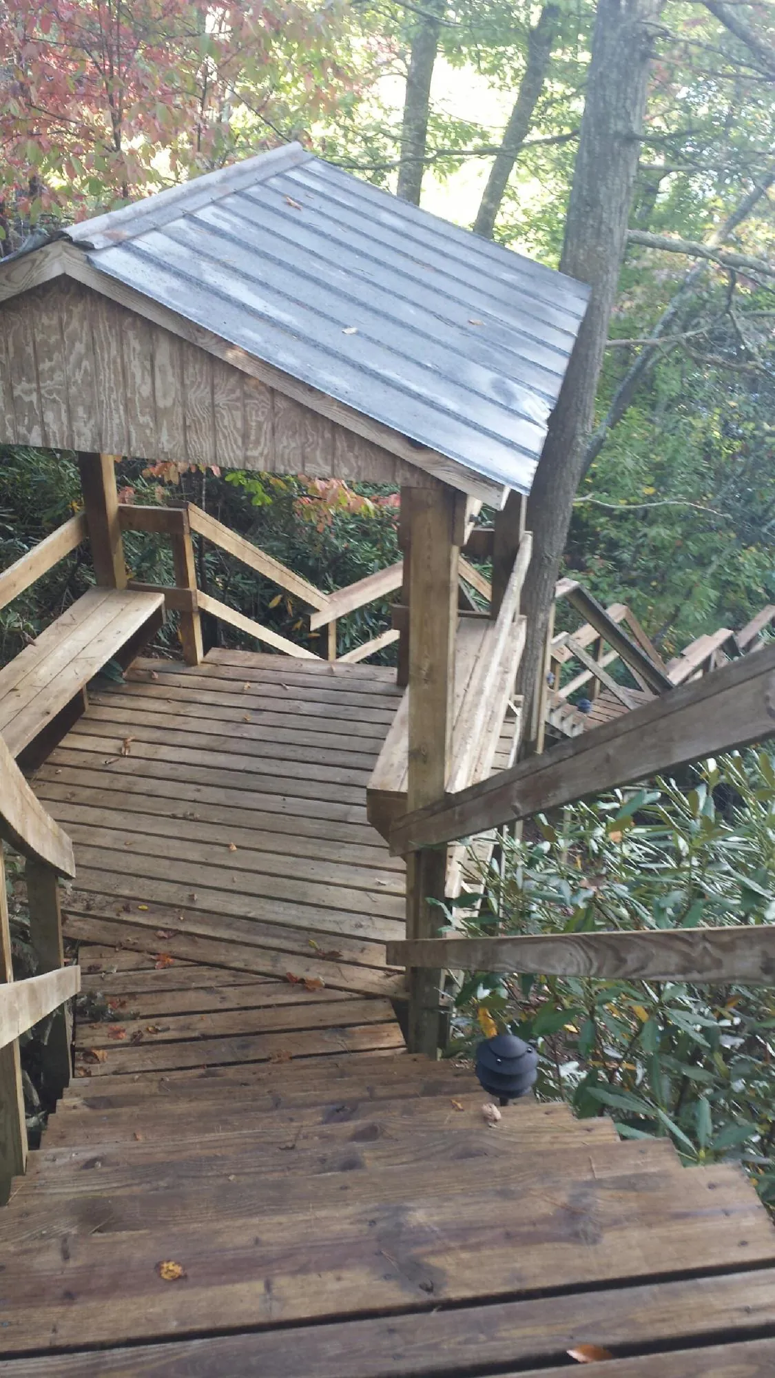 Metal roofed shelter over wooden steps on a wooded walkway — Skylight Repair & Installation work by our crew in Pinehurst